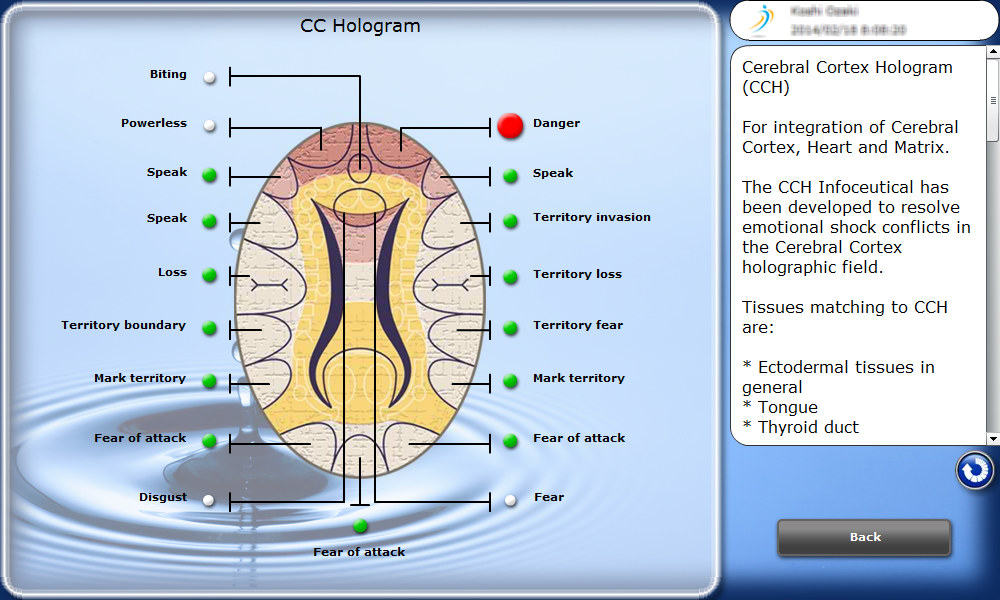 Cerebral Cortex Hologram(CCH)